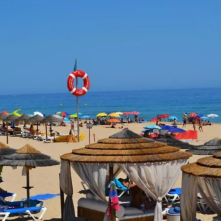 Sol Da Rocha *